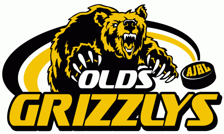 Olds Grizzlys 2001-Pres Primary Logo iron on heat transfer